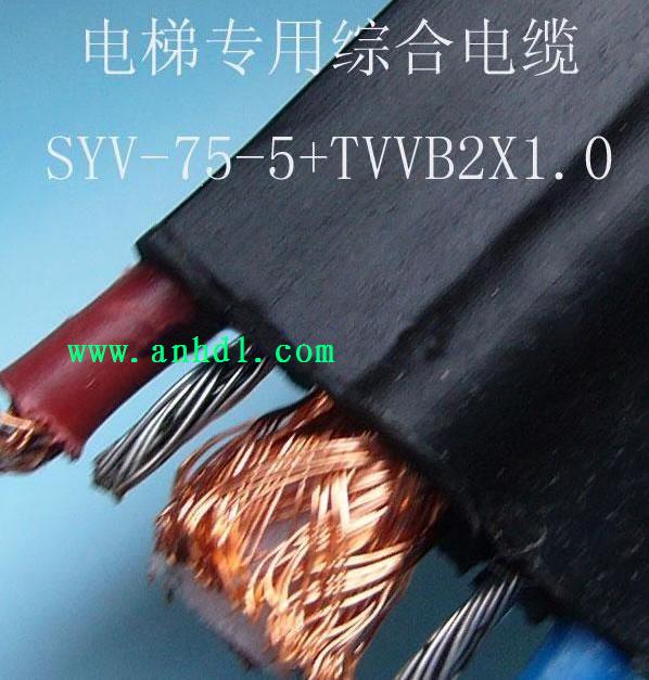 ݌SYV-75-5160)+TVVB2X1.0+G2X1.2 p䓽zƽC|